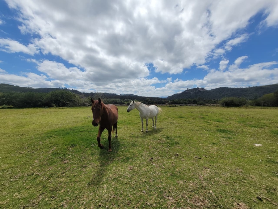 Commercial Property for Sale in Eastford Western Cape